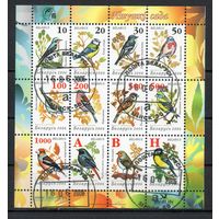 Девятый стандартный выпуск "Птицы сада" Беларусь 2006 год (648-659) 1 малый лист