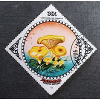 Марка Монголия 1985 год Грибы