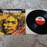 JEFF COOPER AND THE STONED WINGS - 1971 - TRIBUTE TO JIMI HENDRIX (GERMANY) LP