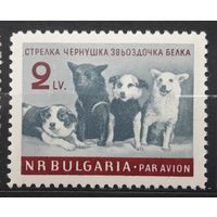 Болгария 1961г. Космос.Серия из 1 марки:  Собаки-космонавты.Mi: 1249.