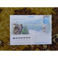 2008 Беларусь маркированная почтовая карточка фауна
