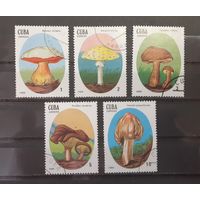 Распродажа с 1 рубля! ФЛОРА. Куба. 1988 год. ГРИБЫ (5 марок)