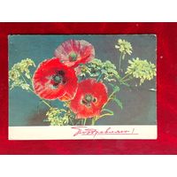 Поздравляю! Подписанная. 1969 года. Дергилев. 877.