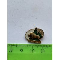 Значок Зубр