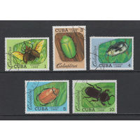 Фауна Жуки Куба 1988  Used