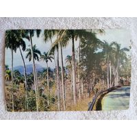 Куба. пейзаж вдоль шоссе