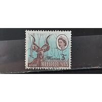 РАСПРОДАЖА. РОДЕЗИЯ. Гаш.