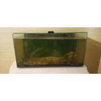 Аквариум на 45-50 литров,компрессор,грунт,сачок и много корма для рыбок(Состояние отличное)