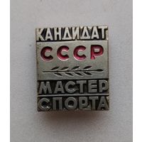 Кандидат мастер спорта .Тяжелый