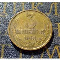 3 копейки 1981 СССР #31