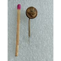 Знак-фрачник. Эмблема автомобиля "Шкода". тяжёлый