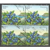 Канада. Лесные ягоды. Голубика. 1992г. Mi#1307. Кв.блок.