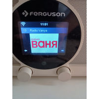 Радио Digital Internet radio Fergusion I300