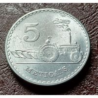 Мозамбик 5 метикалов, 1980    ( 1-9-1 )