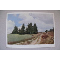 Природа, 1954, чистая (ГДР).