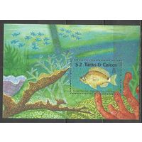 Тёркс и Кайкос. Рыбы. Кораллы. 1990г. Mi#Бл84.
