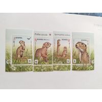 Беларусь 2015   4 м  суслики