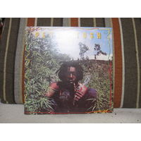 Peter Tosh – Legalize It 1976 LP (UK)