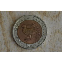 Россия 10 рублей 1992 Краснозобая казарка с 1 руб