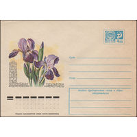 Художественный маркированный конверт СССР N 12052 (11.05.1977) Ирис