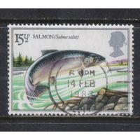 Великобритания 1983 EII  Озёрный лосось #938