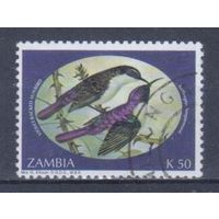 [1587] Замбия 1994. Фауна.Птицы.Нектарницы. Гашеная марка.
