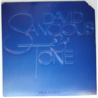 LP David Sancious & Tone – True Stories (1978) Fusion, Jazz-Funk, Jazz-Rock