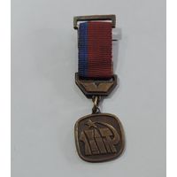 Значок "5 съезд художников РСФСР. Москва 1981 г." Латунь.