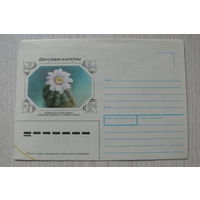 1983, 1990, ХНМК, Горинов К., Гимнокалициум, из серии "Цветущие кактусы".