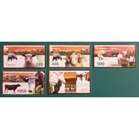 2007 Домашние животные Беларусь