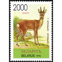 Фауна Косуля Беларусь 1996 год (126) 1 марка