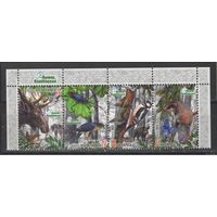 Беларусь 2014г. Налибокская пуща (верх)