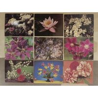 Мини-открытки чистые 9 шт.одним лотом