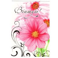 Беларусь 2010, открытка чистая