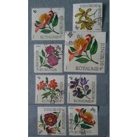 Бурунди цветы 8шт