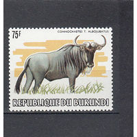 Фауна. Бык. Бурунди. 1982. 1 марка. Michel N 1594 (160,0 е).