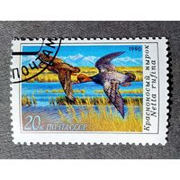 Марка СССР 1990 год Утки