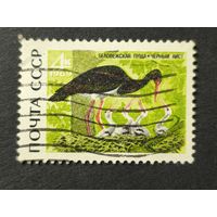 1969 СССР. Природный заповедник "Беловежская пуща". Черный аист