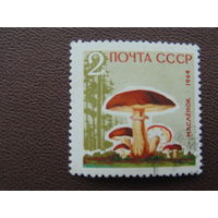 СССР 1964 г. Маслёнок.