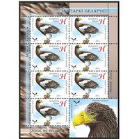 2013г Беларусь MNH  "Белоплечий орлан"