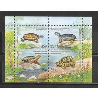 ФФ1 Россия 2017 Черепахи