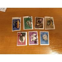 1964 СССР Загорский 2964-2970 флора полная серия клей MNH** (с-9)