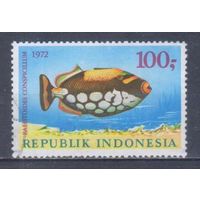 [246] Индонезия 1972. Фауна.Рыбы. Концовка серии.Гашеная марка. Кат.гаш.6,5 е.