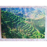 Филиппины. Рисовые поля Банауэ