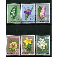 Югославия - 1963г. - Цветы - полная серия, MNH [Mi 1034-1039] - 6 марок