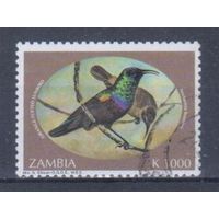 [1587] Замбия 1994. Фауна.Птицы.Нектарницы. Высокий номинал.Гашеная марка. Кат.гаш.4,5 е.