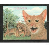 Конго-1999,(Мих.Бл.139) гаш., Фауна, Кошки