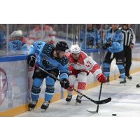 Свитер хоккейный игровой #92 GORBUNOV с матча 22.12.2024 в г.Ташкенте