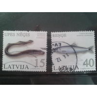 Латвия, 2005. Речные и морские рыбы, полная серия
