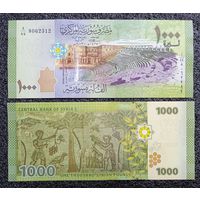 1000 фунтов Сирия 2013 г. UNC